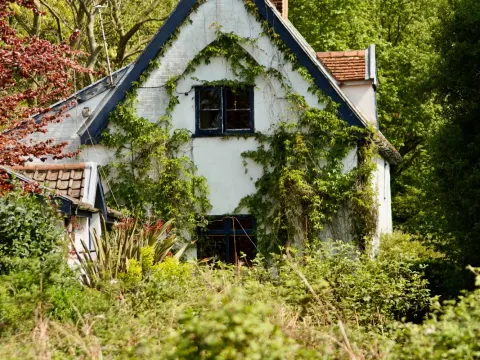 Pond Hall Farm in 2007 covered in undergrowth